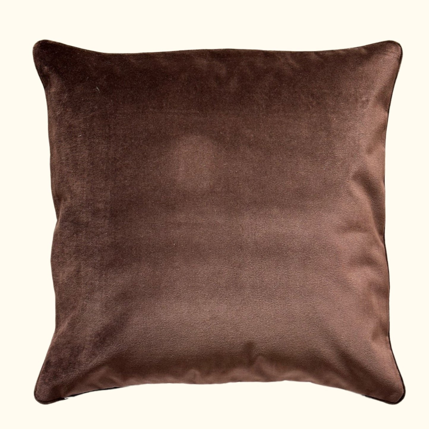 Vintage Ribbon Frame Pillow - 22" x 22" - USA - 122a