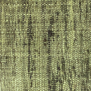 Evergreen Wild Silk with Piping Pillow - 20" x 20" - India - S108E