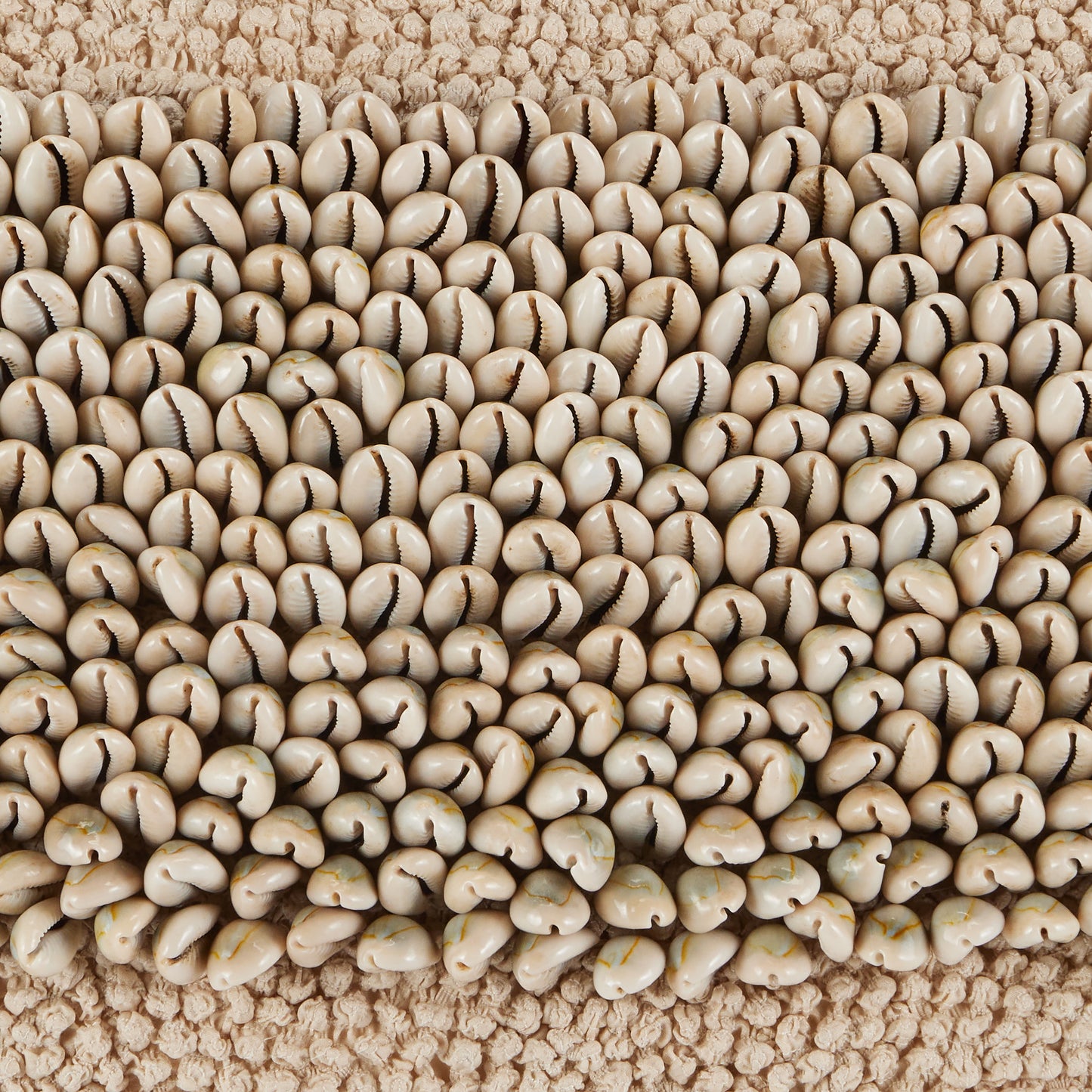 Cowrie-13x20-Cover + Insert