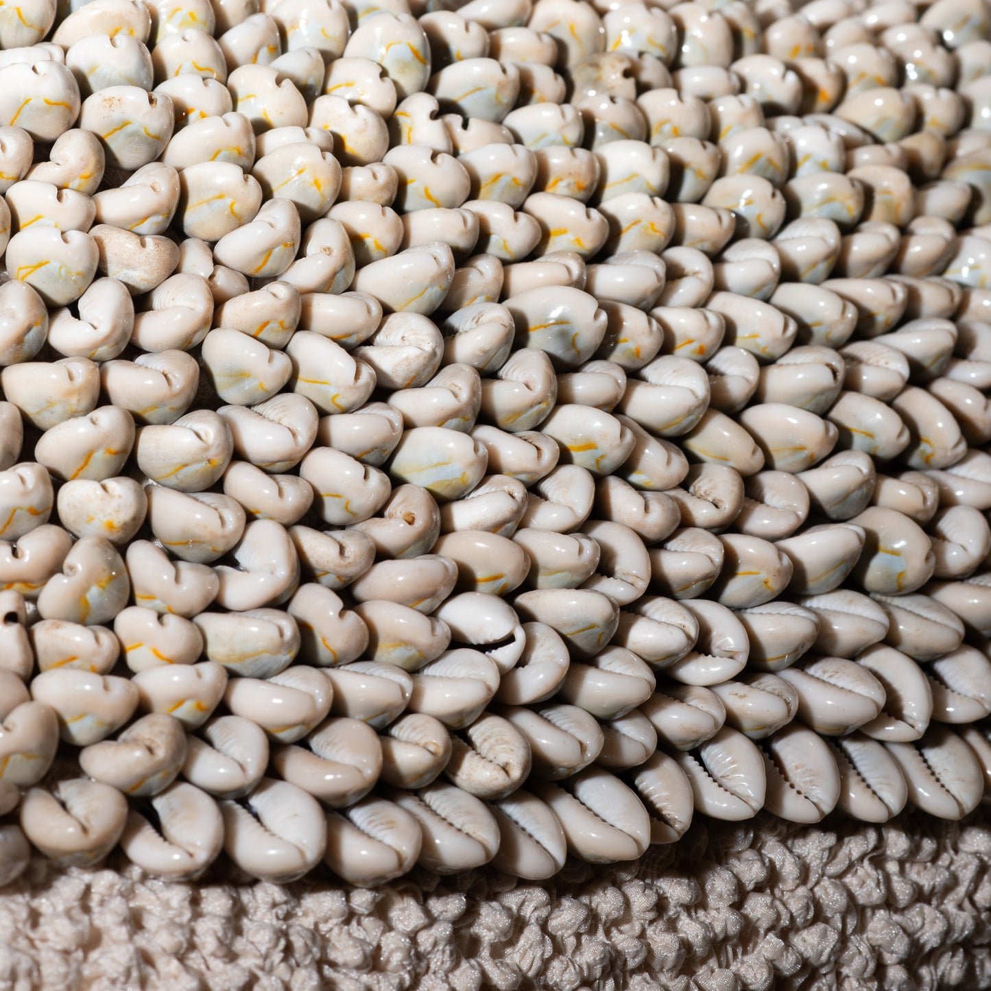 Cowrie-13x20-Pillow