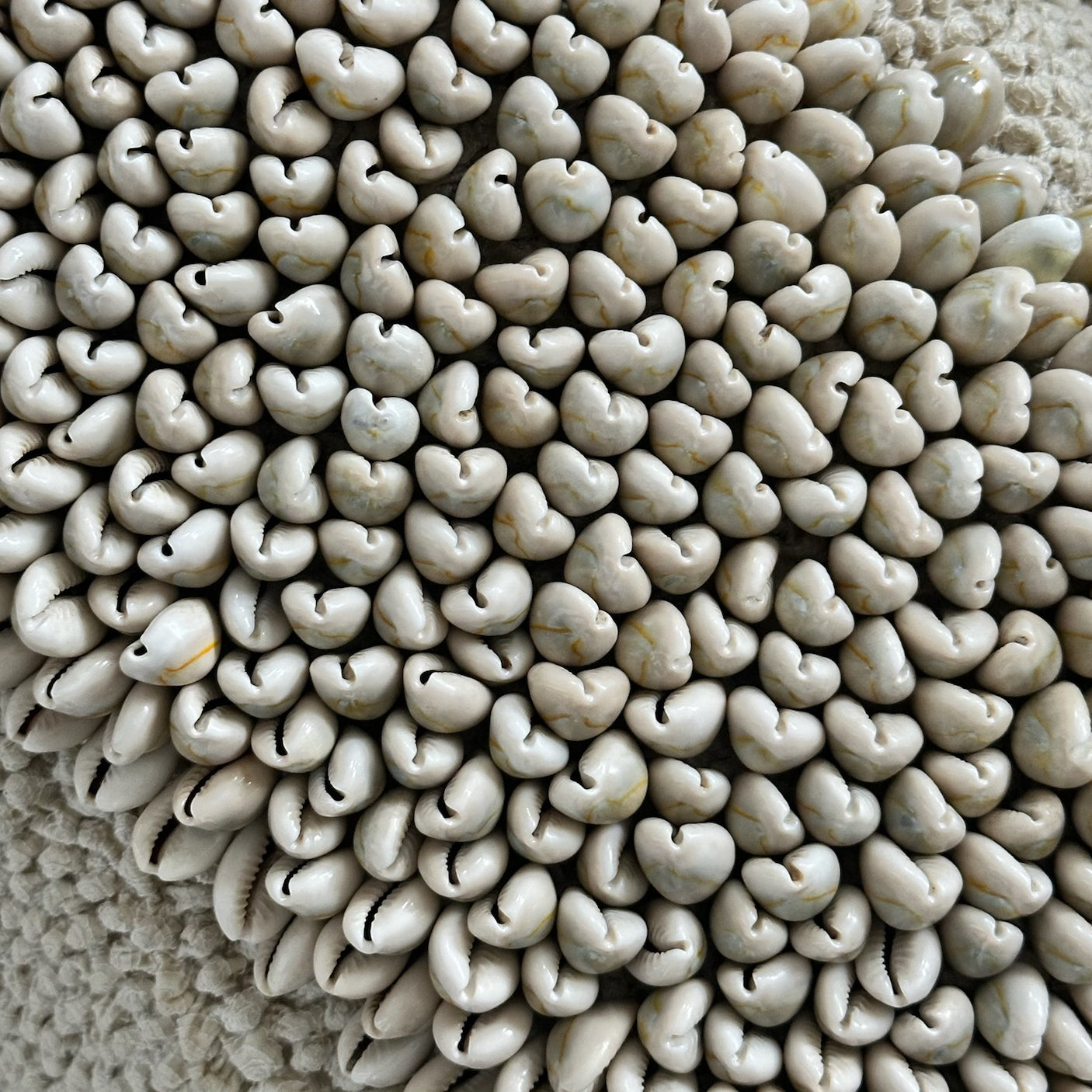 Cowrie-13x20-Pillow