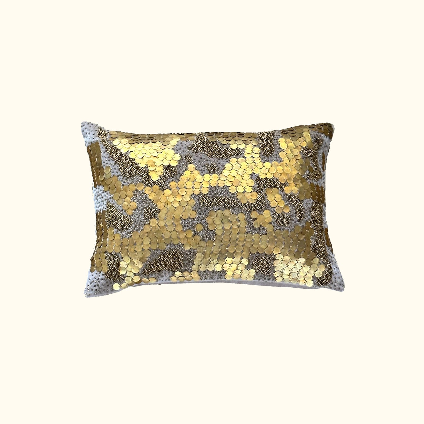 Coins-11x17-Pillow