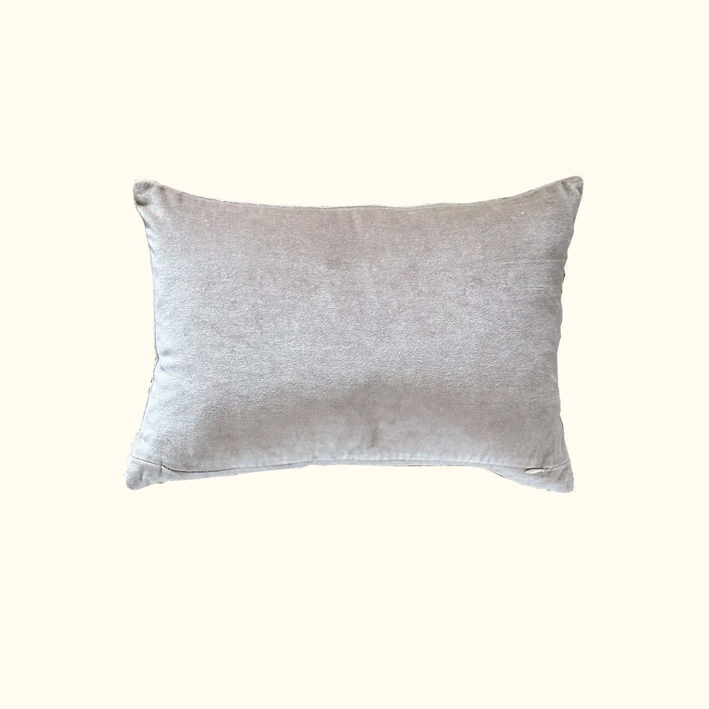 Coins-11x17-Pillow